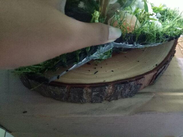 Ring Bearer Tempat Cincin Kaca Terarium