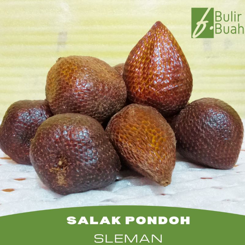 

Buah Segar Salak Pondoh Super Sleman/Kg