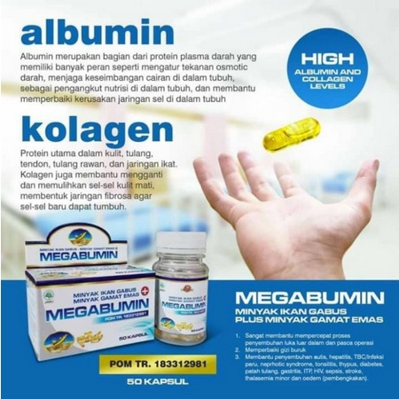 Kapsul Megabumin minyak ikan Gabus dan Gamat emas 50 kapsul