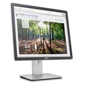 Monitor LED DELL P1917S SQUARE