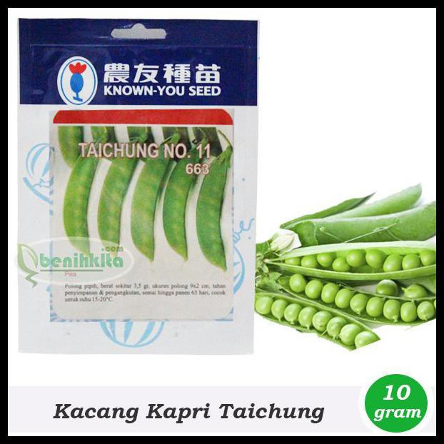BENIH/BIBIT KACANG KAPRI TAICHUNG (KNOWN-YOU SEED)