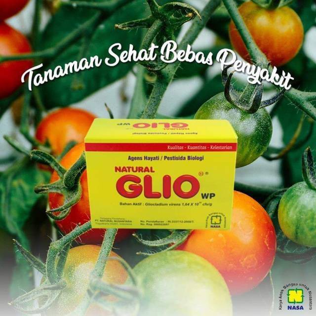 pupuk glio nasa pupuk organik  nasa pupuk hayati tanaman buah sayuran pupuk pertanian obat pertanian