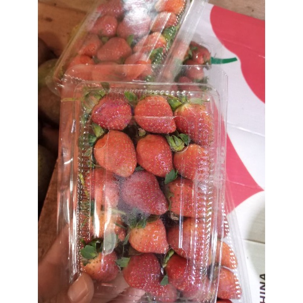 

Buah strawberry segar / per pack