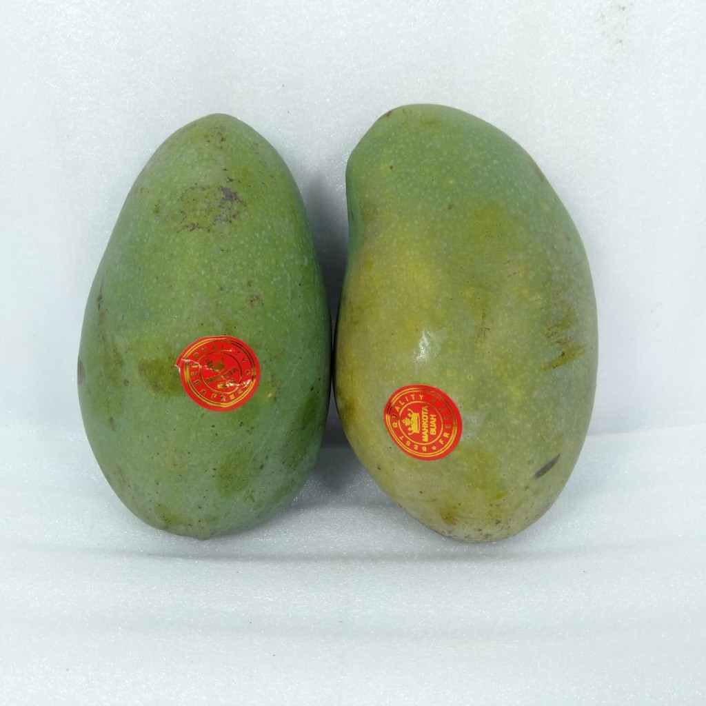 

MANGGA ALPOKAT (PACK) +/- 1 KG (1416)