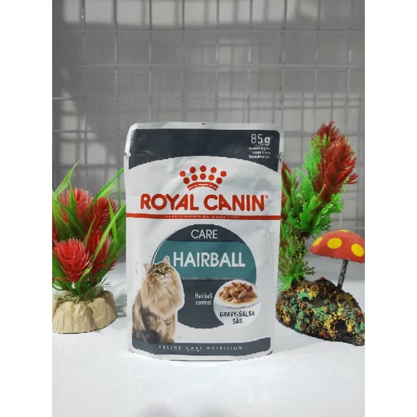 Royal Canin Pouch Hairball Care 85gram