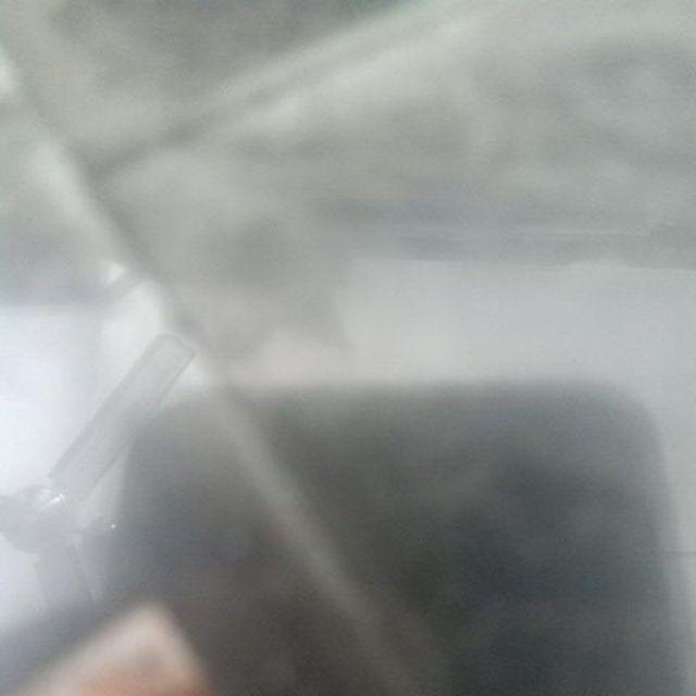 Green Leaf Frenzy Food Container Isi 12 Pcs Bpa Free