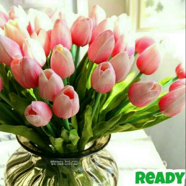 10 Tangkai Bunga Tulip Pink Shopee Indonesia