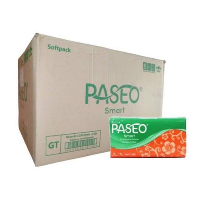TERLARIS 1 DUS TISSUE PASSEO 250 SHEET 2PLY 48PCS