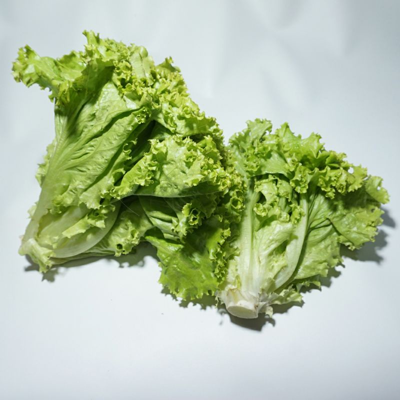 

slada bokor 250gr / sayuran segar bandung fresh