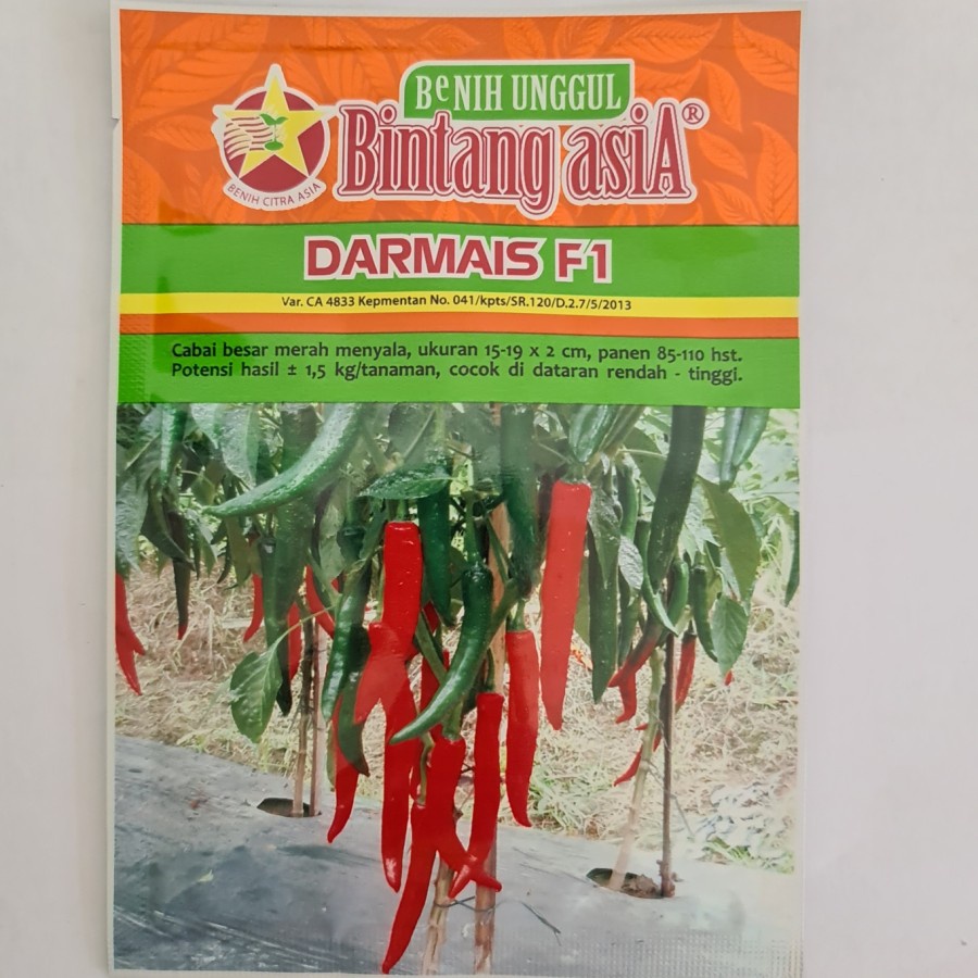 Benih Bibit Cabe Merah Besar DARMAIS F1 Bintang Asia