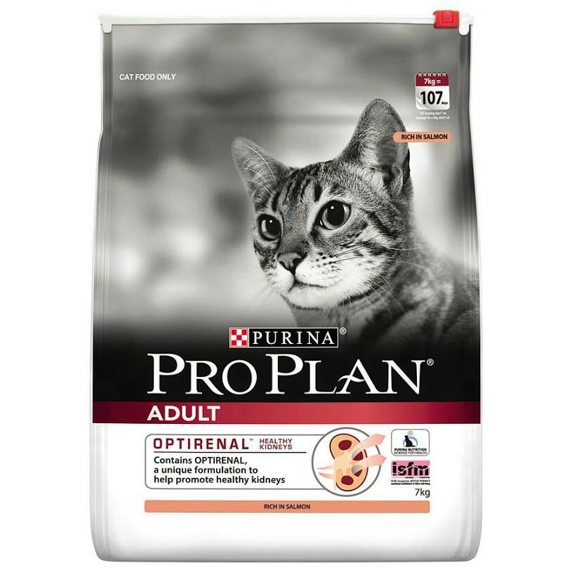 ruffwater golden retrievers