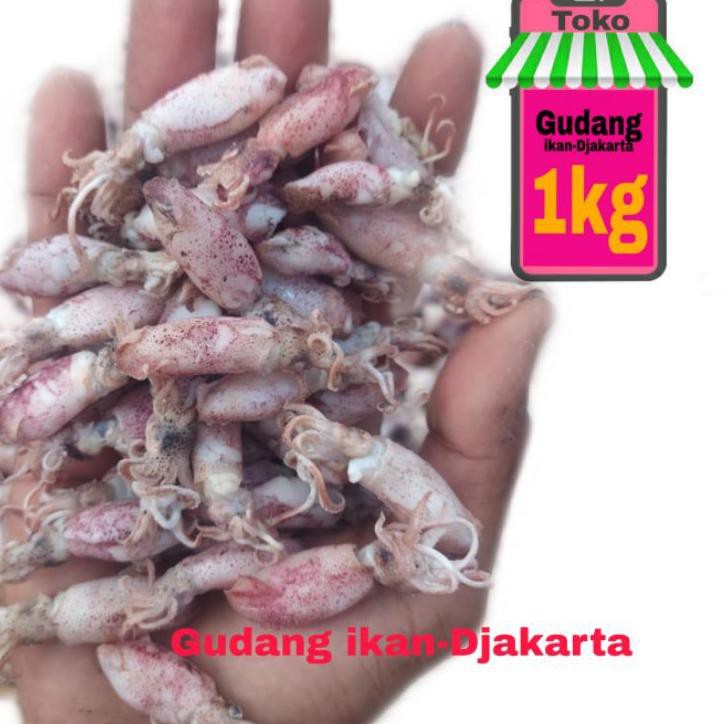 

【TOPSELLER】 Ikan asin cumi babby netto-1kg