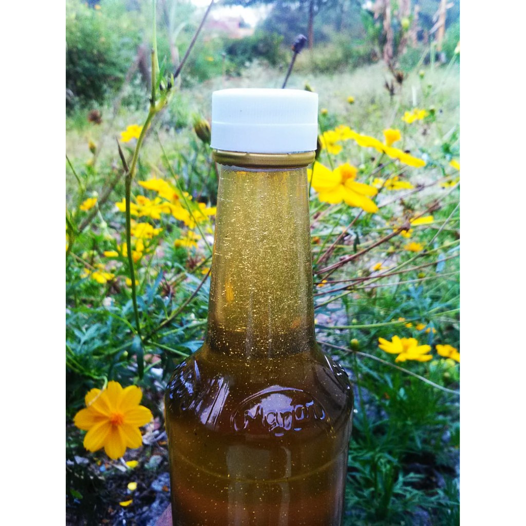 

Madu Multiflora Murni 99% Asli Blora