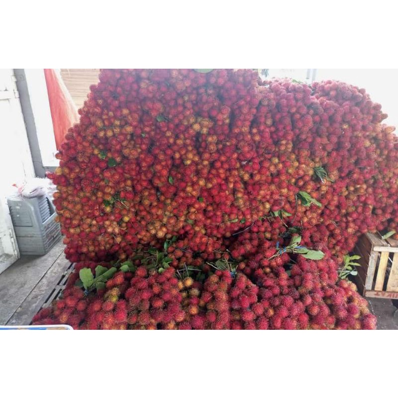 

Aceh manis