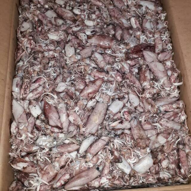 

Cumi asin / sontong bk asin