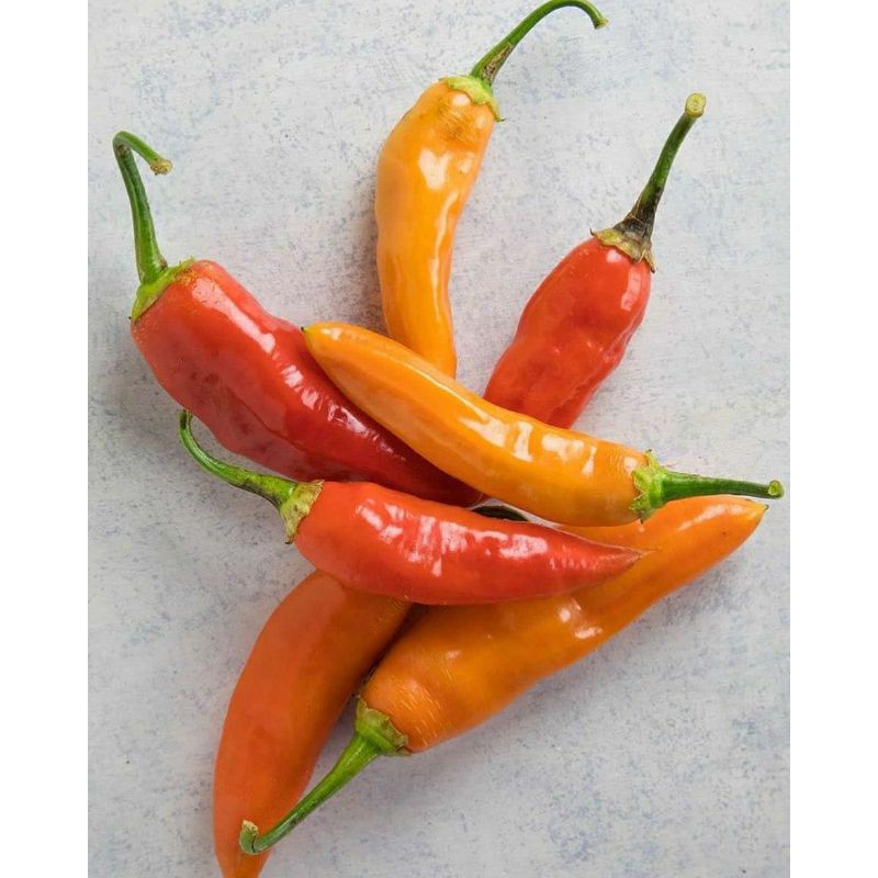 

Gudang Sayur - Cabe Rawit 100 Gram
