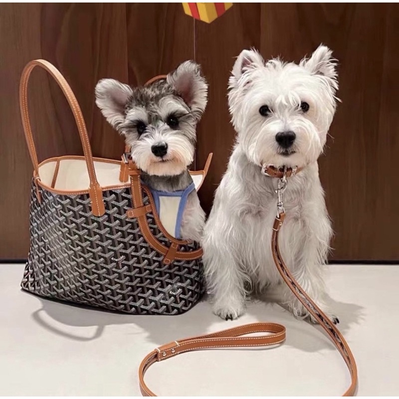 Pet bag cargo doggoyard