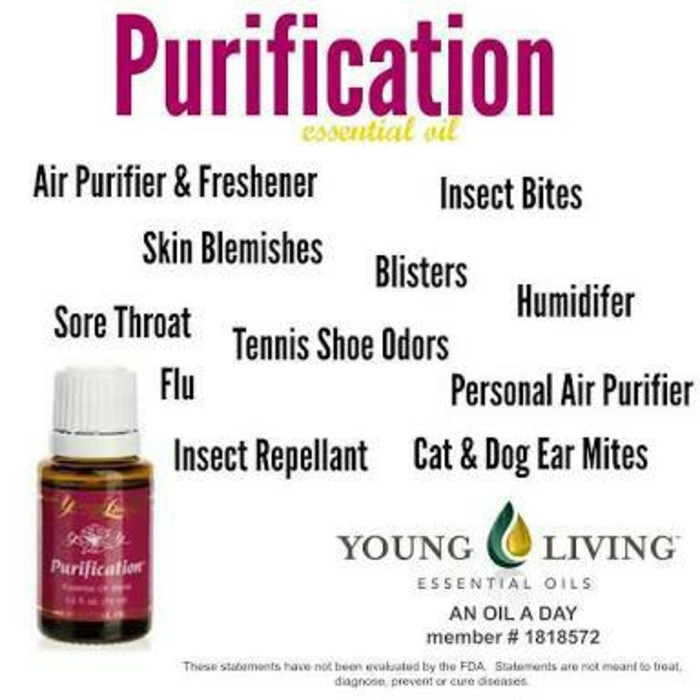 Jual Best Seller Young Living Purification 5 Ml Indonesia Shopee Indonesia