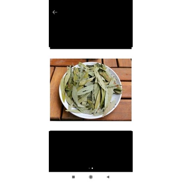 

daun kayu putih kering original 500gram