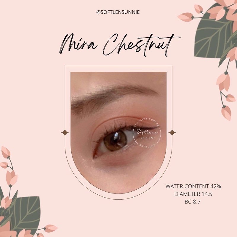 Mira Chestnut | Softlens Korea | Softlens unnie | Normal