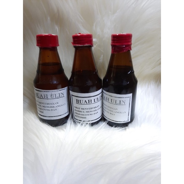 buah ulin