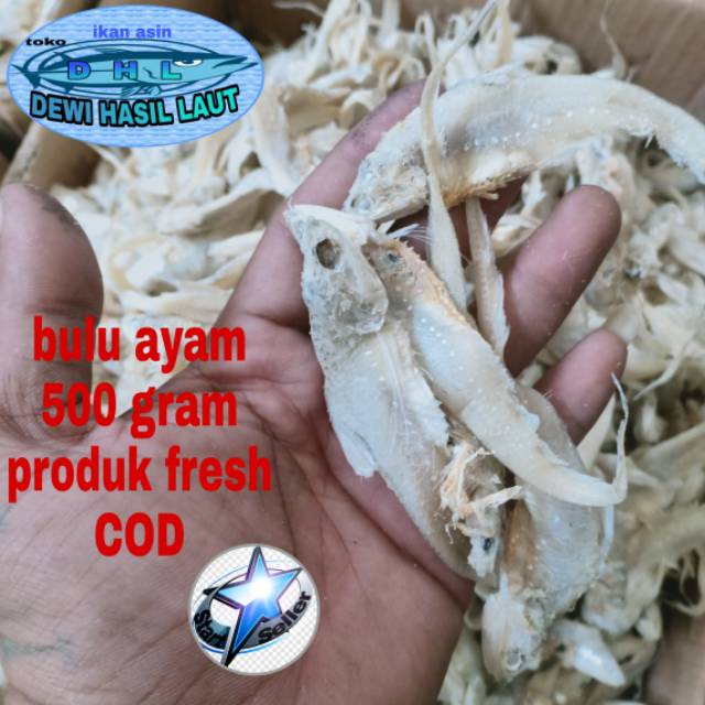 

Ikan asin bulu ayam 500 gram
