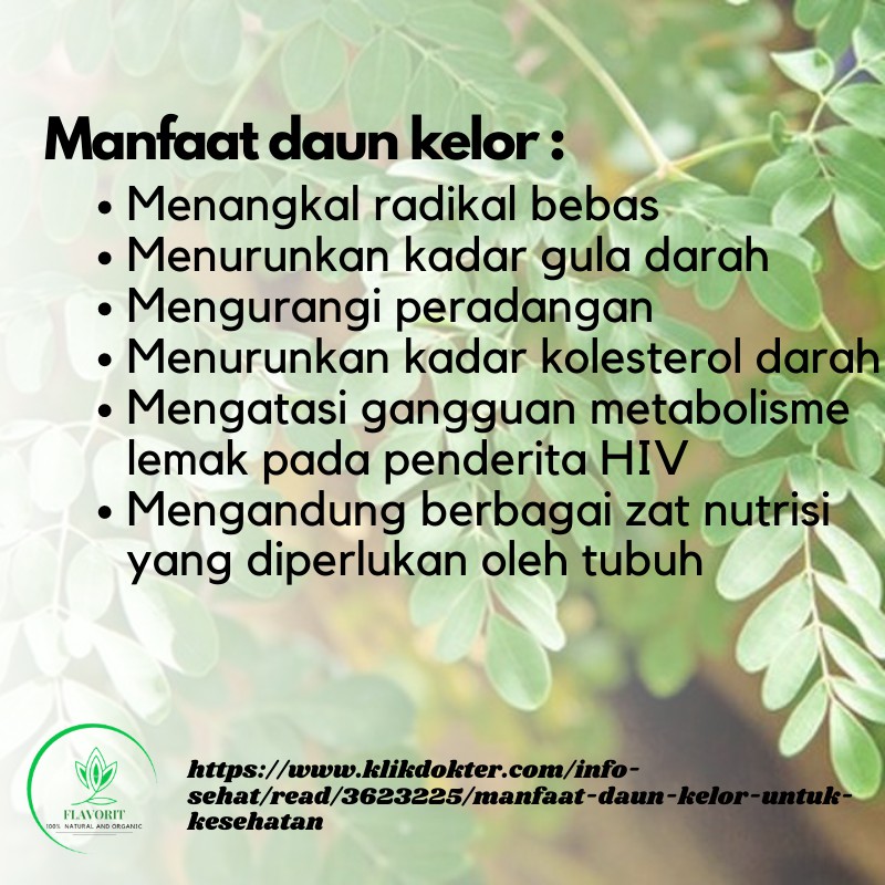 Bubuk Daun Kelor Moringa Powder Kering Bahan Pokok Bumbu Dapur Organik Rempah Herbal Jamu Asli Murni