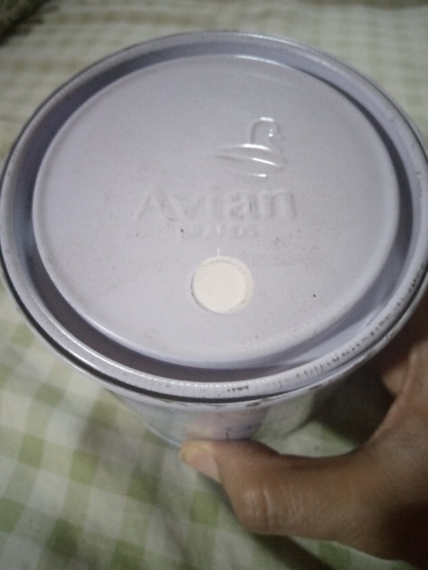 Cat Kayu Dan Besi Yoko Avian