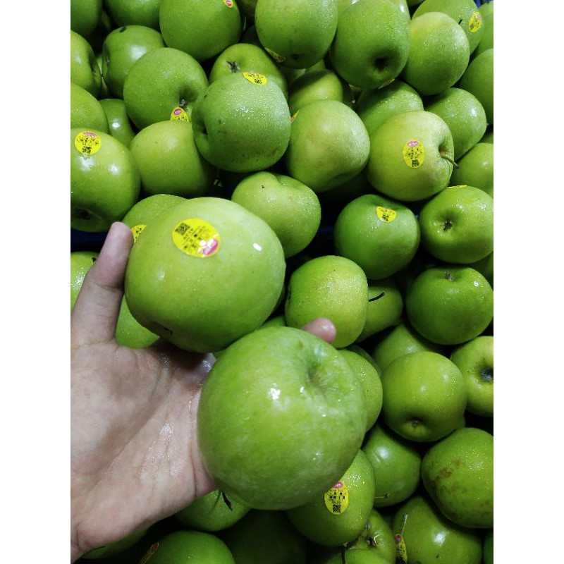 BUAH APEL GRANNY SMITH 1kg /APEL HIJAU lMPOR