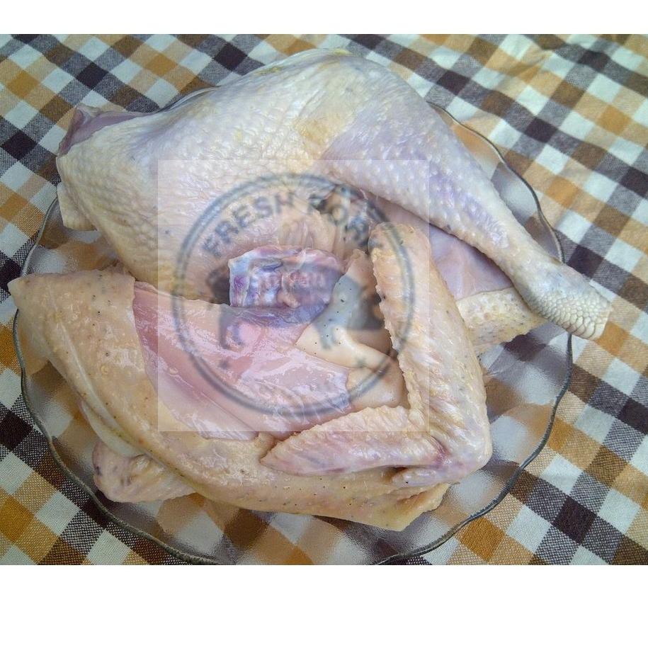 

1.1 BRANDS FESTIVAL AYAM KAMPUNG 500 - 600 GRAM - CHICKEN VILLAGE