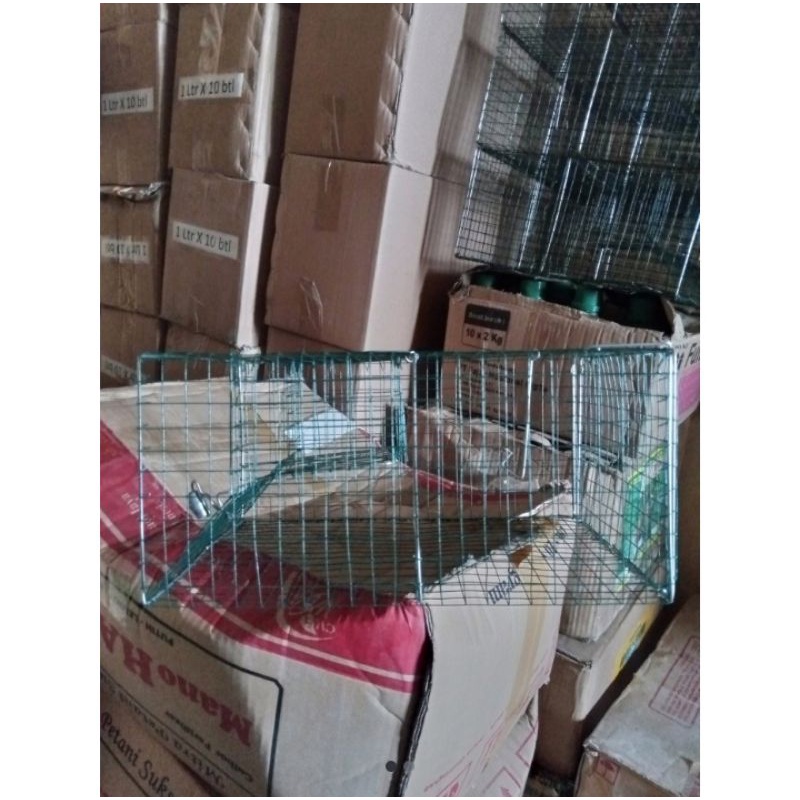 perangkap jebakan tikus kawat