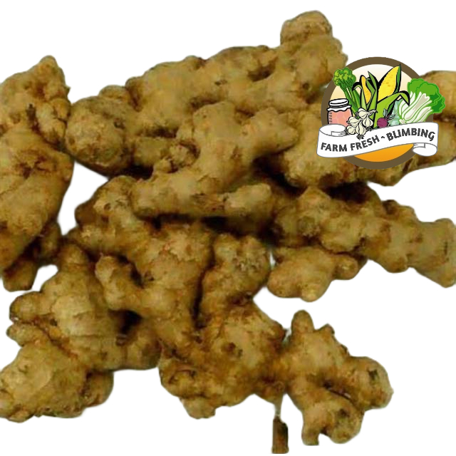 

Jahe Emprit 500 gram