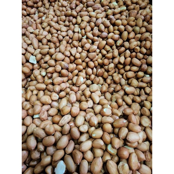 Kacang tanah import india 500gr kwalitas bagus