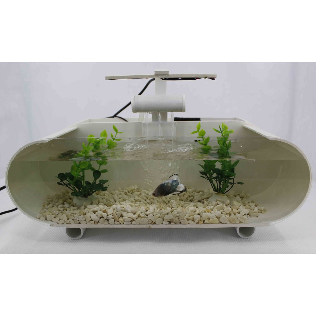 aquarium kecil dan pompa filter