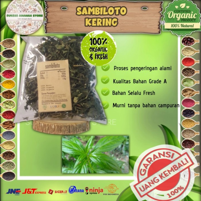 

Daun Sambiloto Sambiroto Kering 100 Gram Andrographis Paniculata