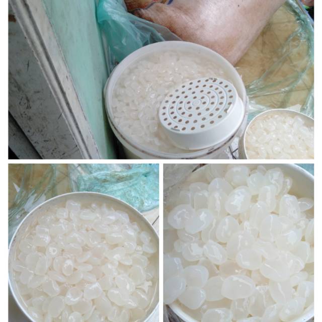

Kolang kaling