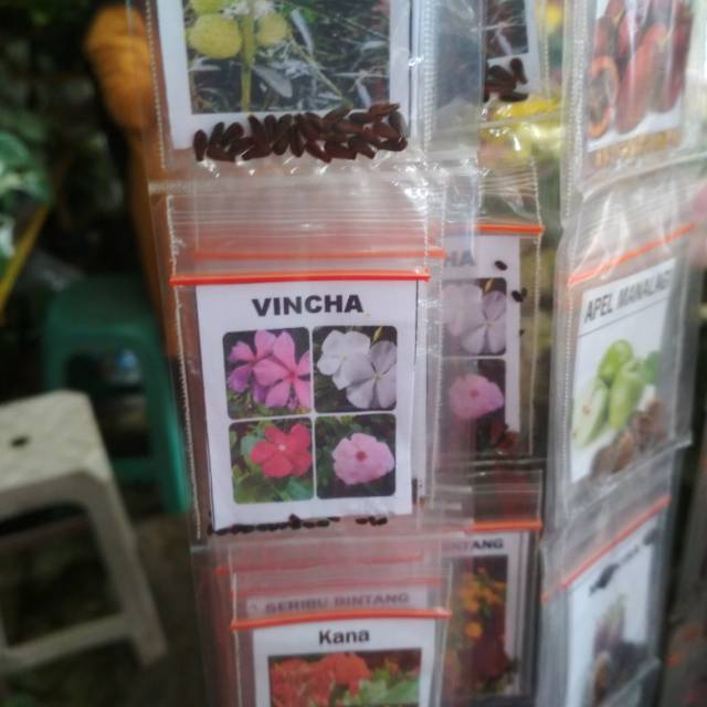 Biji bunga macam macam