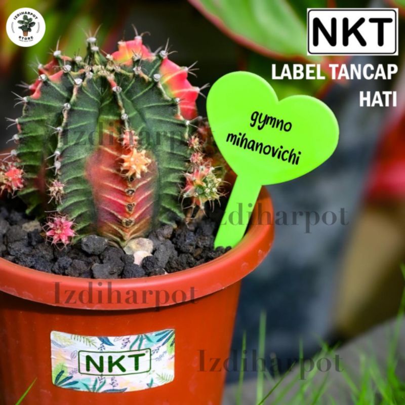 label tag TANCAP HATI tanaman nkt warna warni name tag - SATUAN LABEL HATI