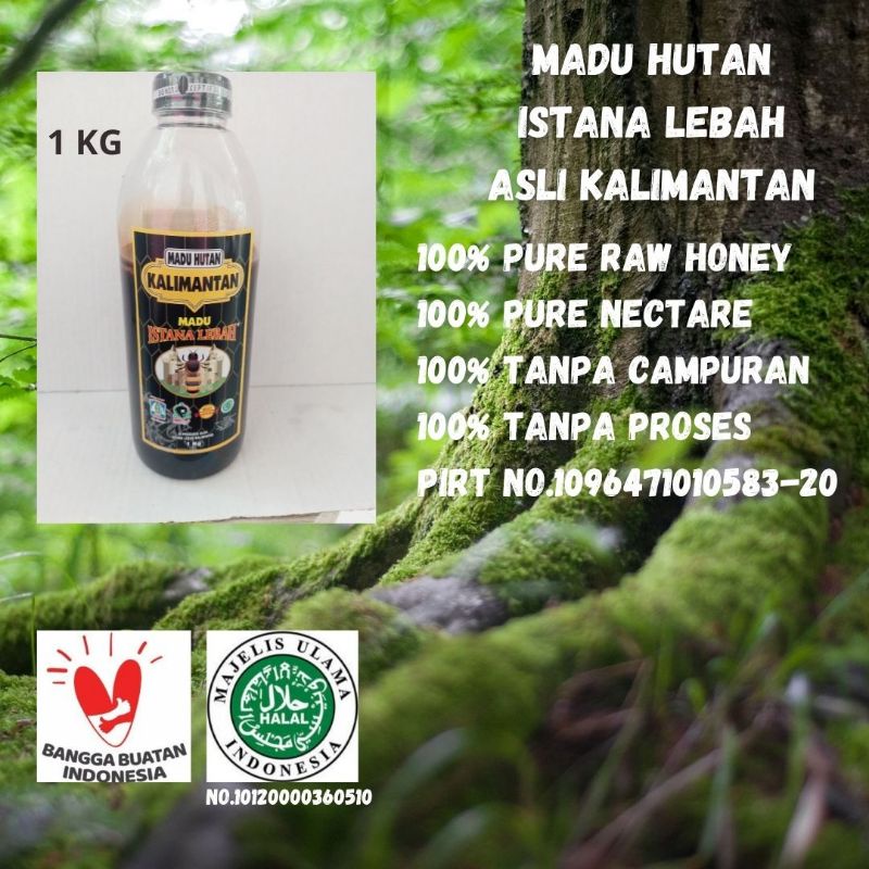 

Madu Murni Hutan Asli 1 Kg Kalimantan Balikpapan Sumbawa sumatera MUI RAW HONEY Tanpa Campura