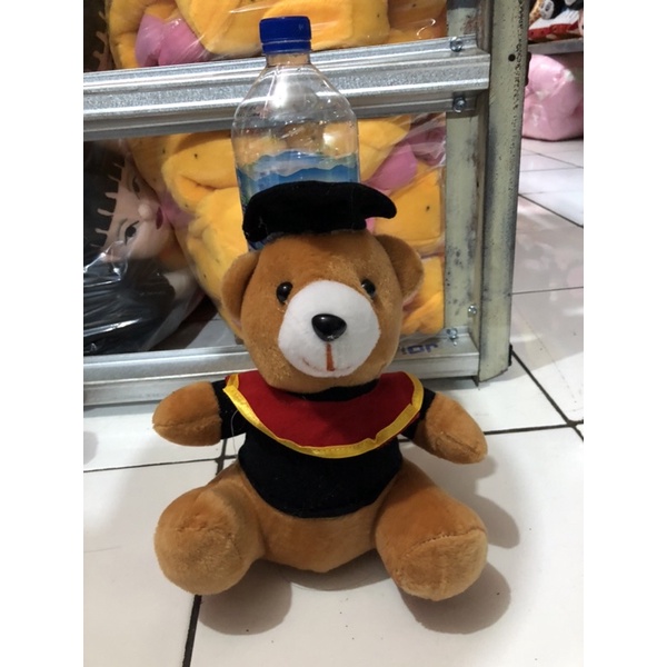 Boneka Beruang Wisuda Hadiah Wisuda SNI