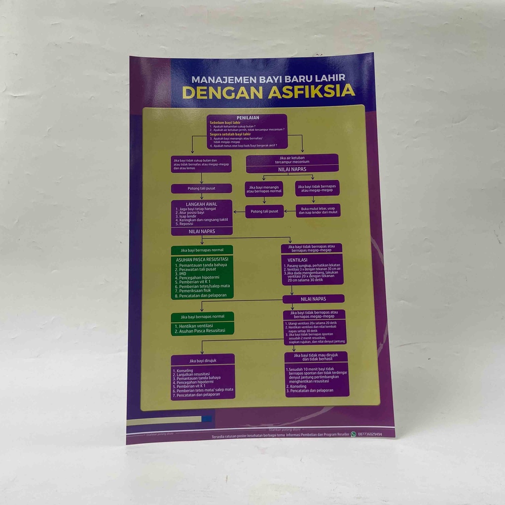 Jual Poster Kebidanan : Manajemen Bayi Baru Lahir Dengan Asfiksia ...