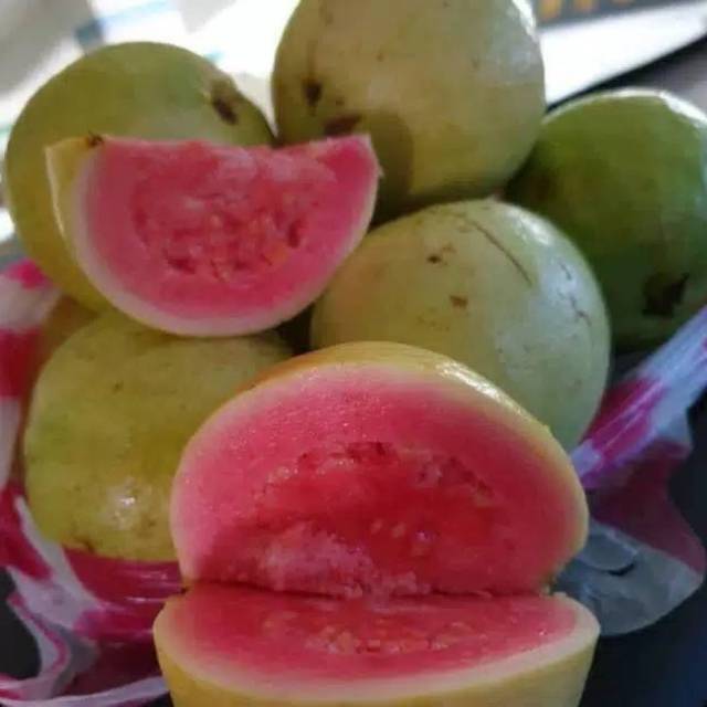 

JAMBU BIJI MERAH GEDE /kg