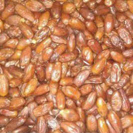 

KurmaTunise1kg