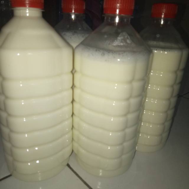 

susu murni 100% murni 1liter