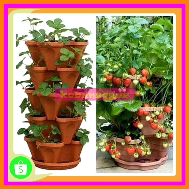 Terbaik/'Pot Bunga Tanaman Susun 5 Tingkat Vertikal Gantung Green Leaf