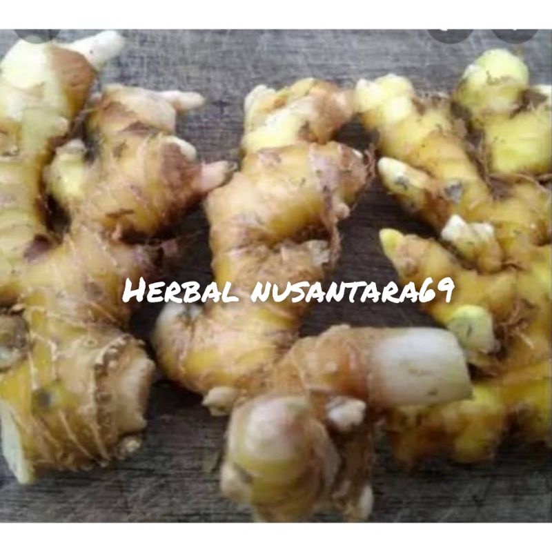 

Ready Lempuyang segar basar 500gr/herbal alami