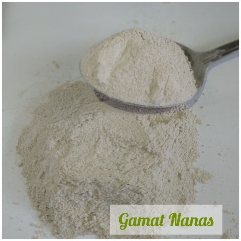 Gamat nanas murni 100% / Teripang laut/teripang nanas