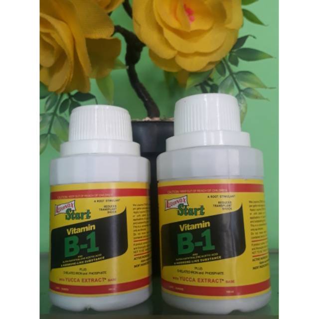 Liquinox vitamin B1