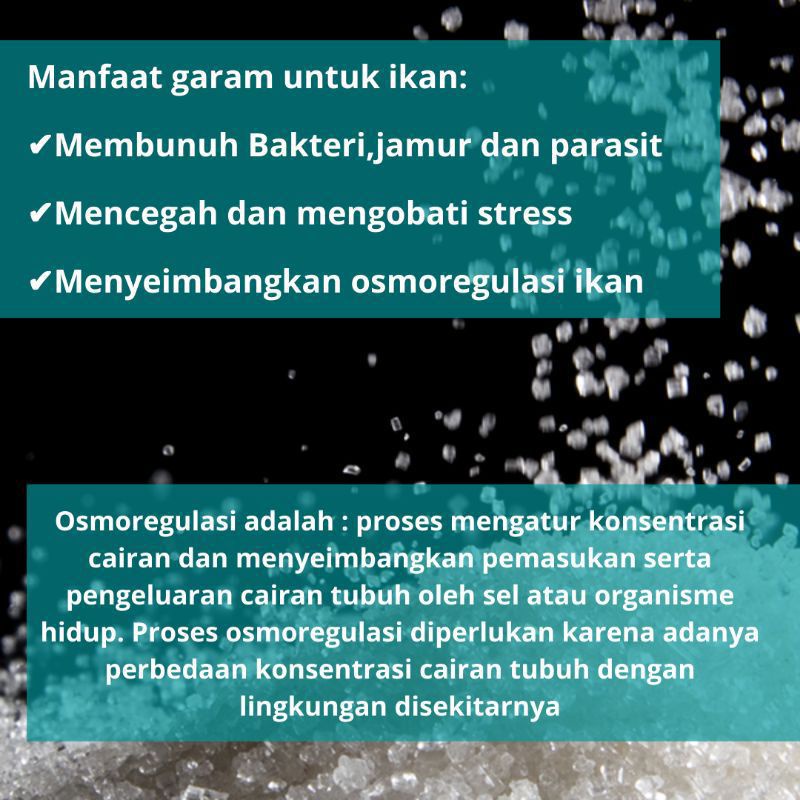 Garam Ikan / Garem ikan / garam ikan Aquarium Aquascape