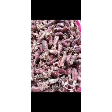 

cumi kering Asin 1kilogram